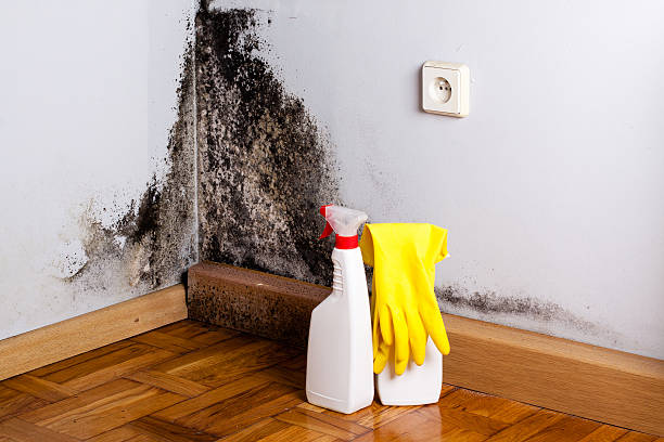 Water damage restoration process in Little Canada, MN